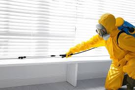 Best Bed Bug Extermination  in Mentone, CA